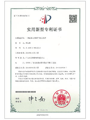 弗蘭斯勒一種電梯與升降平臺組合系統(tǒng)專利證書